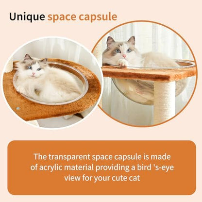 55.5-Inch Modern Cat Tree for Large Cats - Image 4