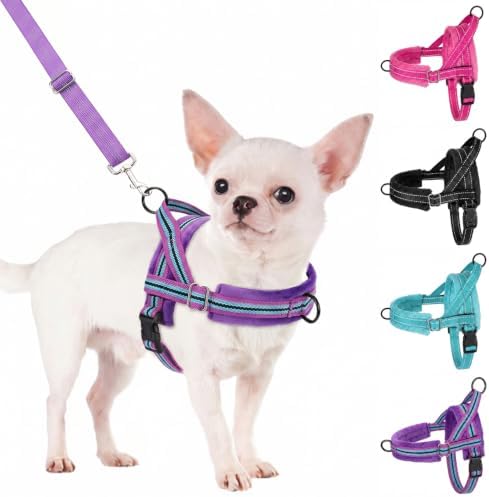 SlowTon No Pull Small Dog Harness and Leash Set by SlowTon