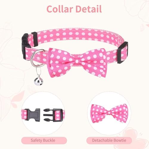 BINGPET No Pull Dog Harness Leash Collar Set, Adjustable Step-in Vest - Image 4