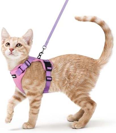 rabbitgoo Cat Harness and Leash Set, Escape Proof Vest by rabbitgoo