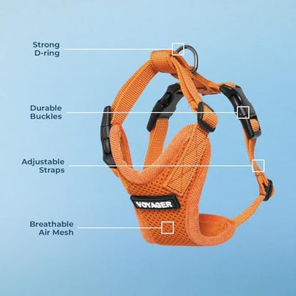 Voyager Step-in Lock Dog Harness - Image 4