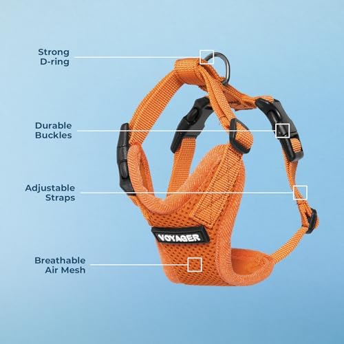 Voyager Step-in Lock Dog Harness - Image 4