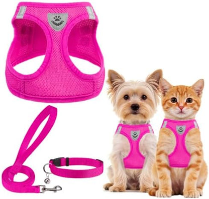 PUPTECK Dog Harness, Collar and Leash Set No Pull by PUPTECK