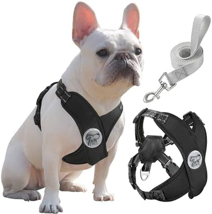 Pawaboo Small Dog Harness and Leash Set, Puppy Harness X-Frame Adjustable by Pawaboo