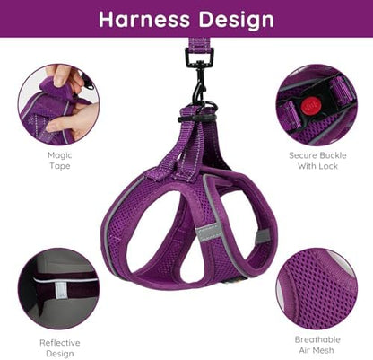 BELLA & PAL Step in Puppy Harness and Leash Set - Image 2