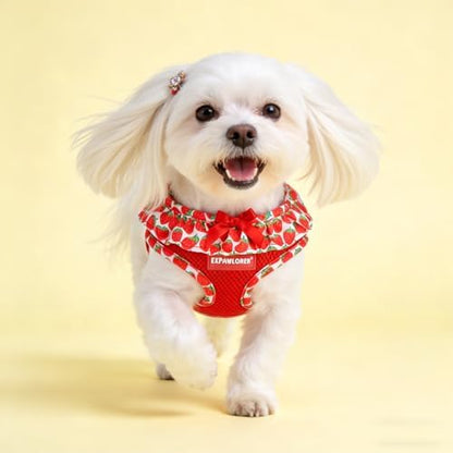EXPAWLORER Step-in Dog Harness Small Sized and Leash Set - Image 7