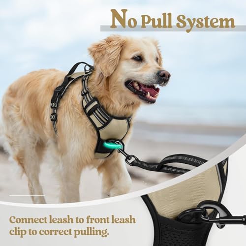 rabbitgoo Dog Harness, No Pull for Small Dogs - Image 5