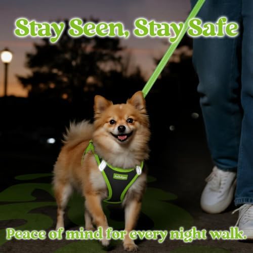 rabbitgoo Dog Harness Small Sized and Leash Set, Step in Soft Vest - Image 5
