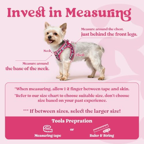 rabbitgoo Step-in Small Dog Harness, Puppy Vest - Image 2