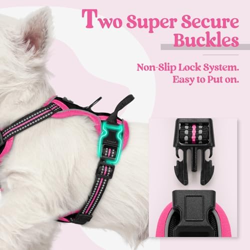 rabbitgoo Dog Harness, No Pull for Small Dogs - Image 3