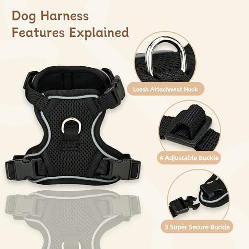 Small Dog Harness and Leash Set, Adjustable Small Sized Pet Vest - Image 2
