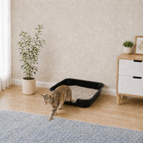 Extra Large Low Entry ABS Cat Litter Box, 1 Pack - Image 4