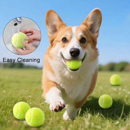 10 Pack 2-inch Dog Tennis Toys, Pet Play Balls, Refill - Image 6