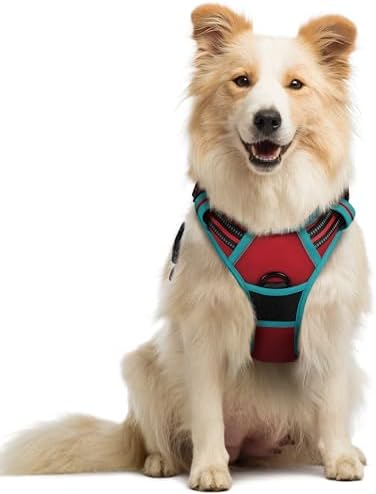 rabbitgoo Dog Harness, No Pull Medium Sized by rabbitgoo