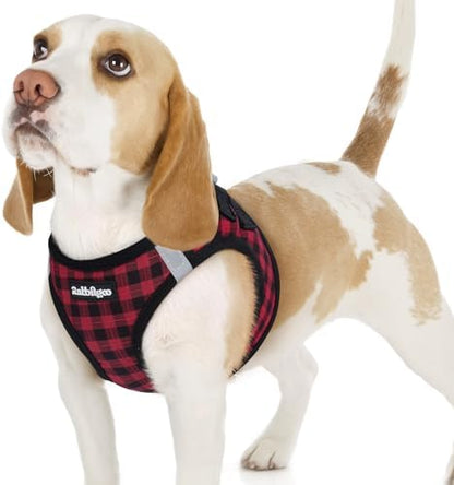 rabbitgoo Step-in Small Dog Harness, Puppy Vest by rabbitgoo