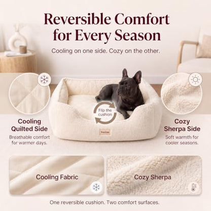 Cooling Orthopedic Dog Bed for Small Dogs, Memory Foam - Image 7