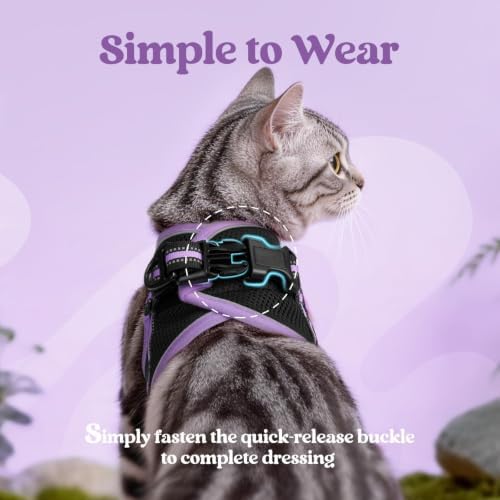 rabbitgoo Cat Harness and Leash Set, Step-in Soft Vest - Image 4