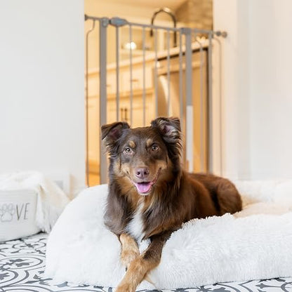 Carlson 36" Extra Tall Walk Through Dog Gate - Image 5