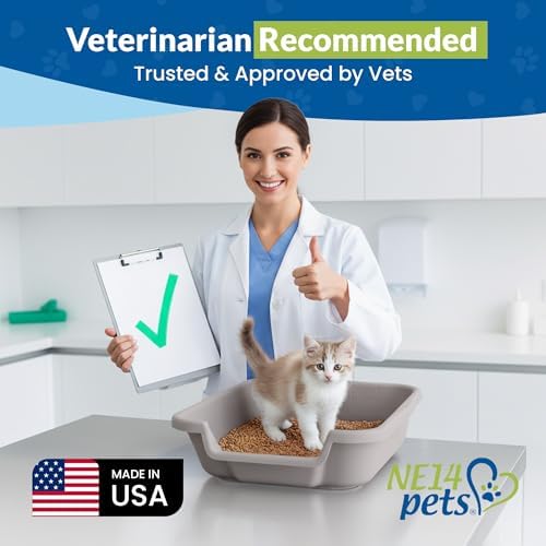 KittyGoHere Senior Cat Litter Box Small - Image 4
