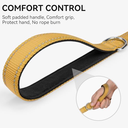 Joytale Reflective Dog Leash for Small Dogs, 6 FT x 3/4" - Image 3
