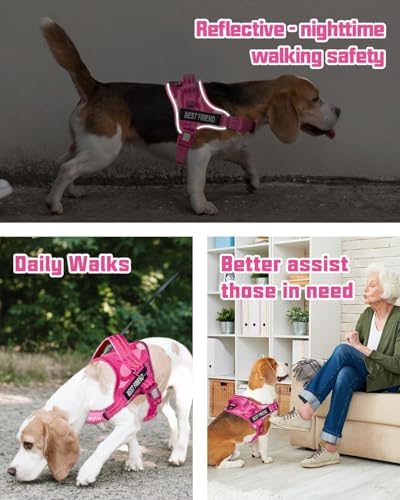 AUROTH Dog Harness and Leash Set - Image 2