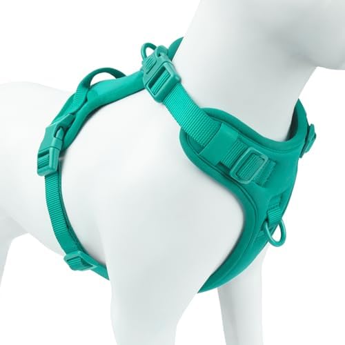 Sunraymascota No Pull Dog Harness by Sunraymascota