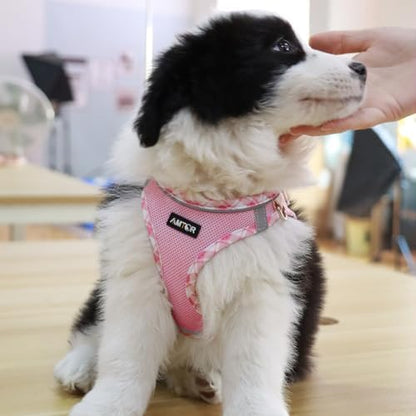 AMTOR Small Dog Harness with Leash Set, No Escape Easy Walk Puppy Harnesses - Image 4
