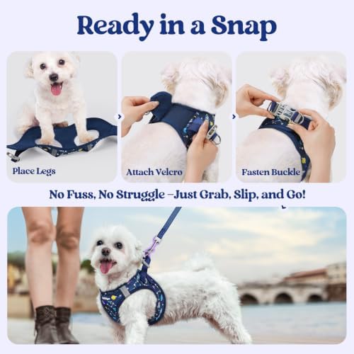 rabbitgoo Dog Harness Medium Sized and Leash Set, Step-in Puppy Pet Vest - Image 5