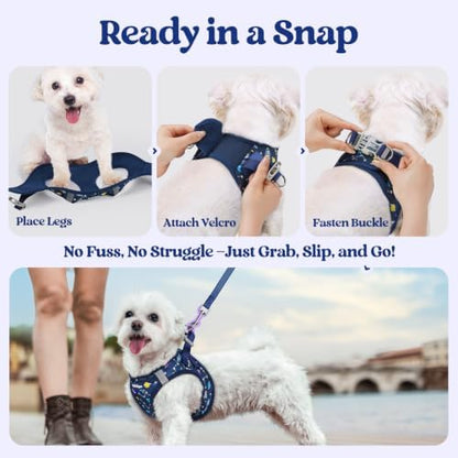 rabbitgoo Dog Harness Medium Sized and Leash Set, Step-in Puppy Pet Vest - Image 5