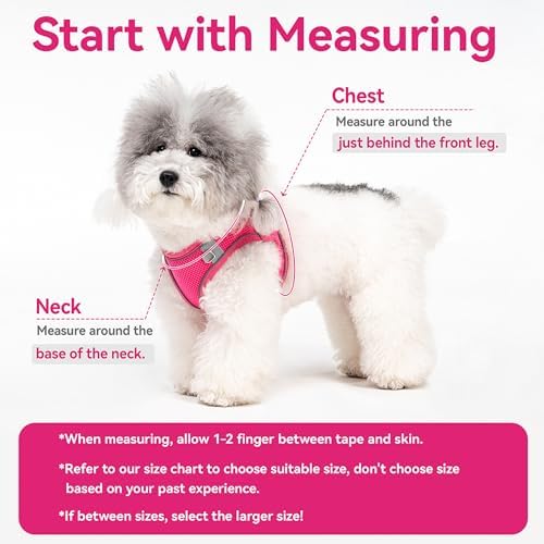 Dog Harness for Small Medium Sized Dog, Puppy Harness and Leash Set Training - Image 6