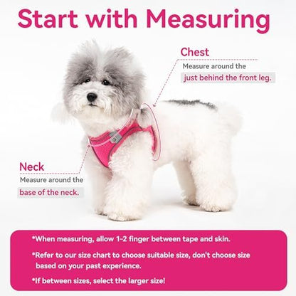 Dog Harness for Small Medium Sized Dog, Puppy Harness and Leash Set Training - Image 6