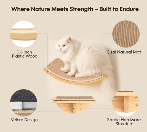 Cat Wall Shelves, Cat Window Perches - Image 2