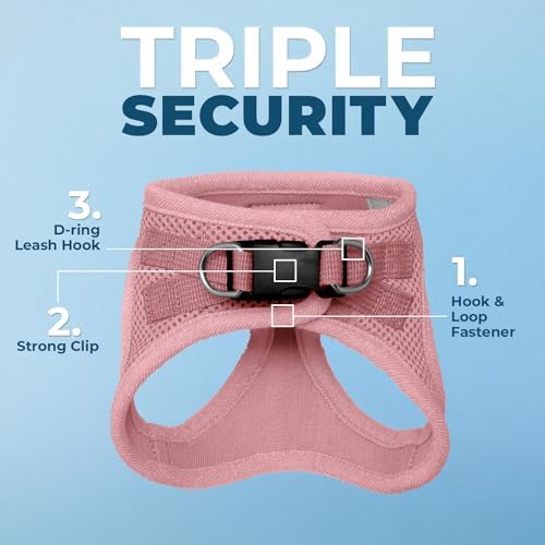 Voyager Step-in Air Cat Harness & Leash Set - Image 3