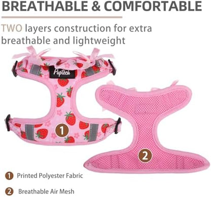 PUPTECK Dog Harness and Leash Set Medium Sized, Step in No Pull Adjustable - Image 2