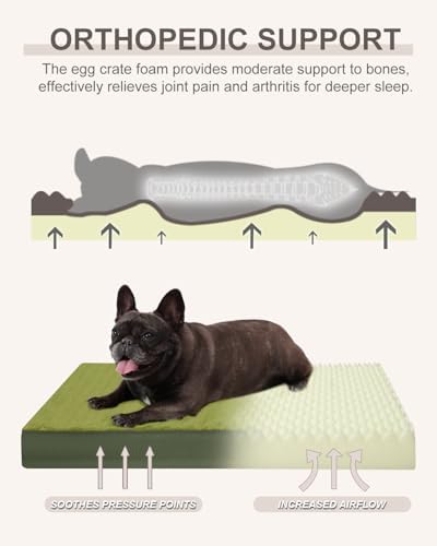 KSIIA Orthopedic Dog Bed for Small Dogs - Image 2