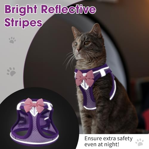 Cat Harness and Leash Set, Escape Proof Kitten Harness Purple XS - Image 5