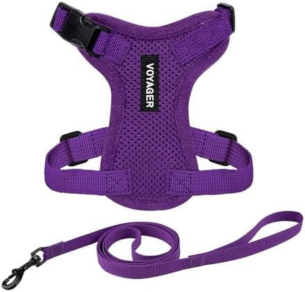 Voyager Step-in Lock Cat Harness & Leash Set by BestPetSuppliesLLC