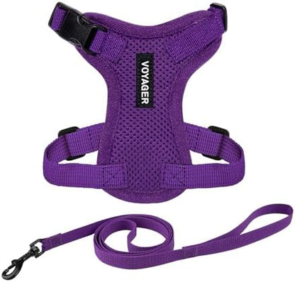 Voyager Step-in Lock Cat Harness & Leash Set by BestPetSuppliesLLC