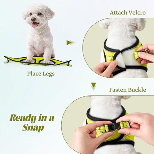 No Pull Dog Puppy Harness and Leash Set Reflective Mesh Vest Small - Image 4
