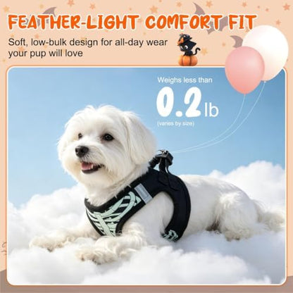 BEAUTYZOO Halloween Dog Harness Medium Sized and Leash Set, No Pull Pet Vest - Image 2