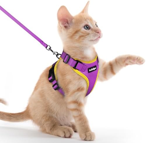 rabbitgoo Cat Harness and Leash Set, Escape Proof Vest by rabbitgoo