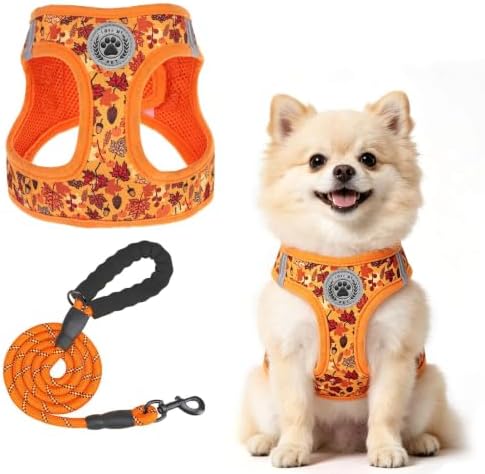 BEAUTYZOO Small Dog Harness and Leash Set, Step in No Choke No Pull Soft Mesh by BEAUTYZOO