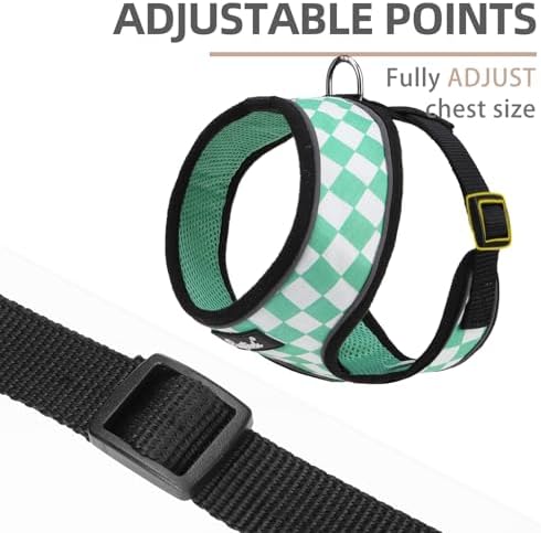 PUPTECK Small Dog Harness and Leash Set No Pull - Image 3