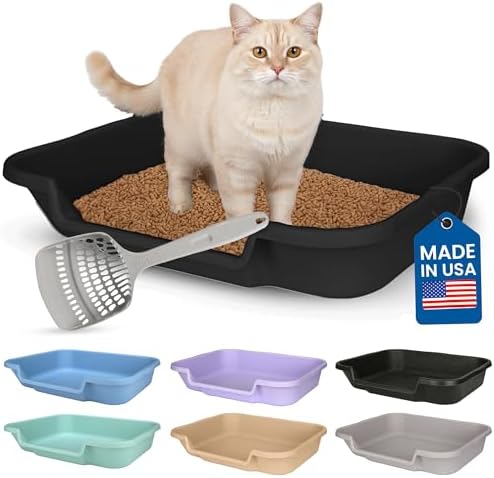 KittyGoHere Senior Cat Litter Box, Large by NE14pets