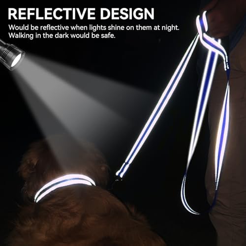 Joytale Reflective Dog Leash for Medium & Large Dogs, 4 FT x 1" - Image 4