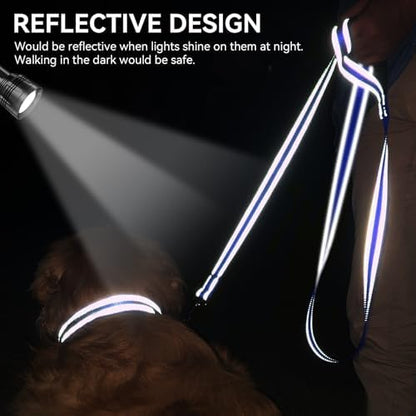 Joytale Reflective Dog Leash for Medium & Large Dogs, 6 FT x 1" - Image 4