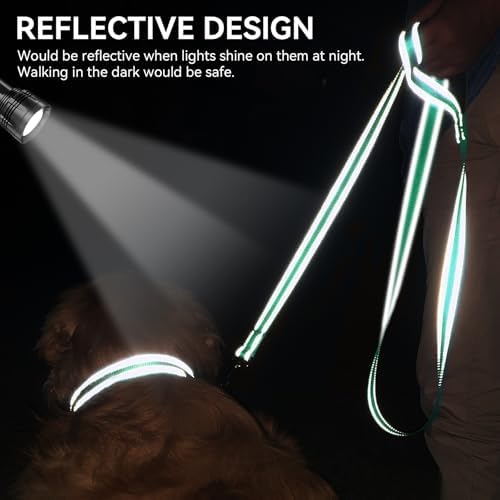 Joytale Reflective Dog Leash for Medium & Large Dogs, 6 FT x 1" - Image 4