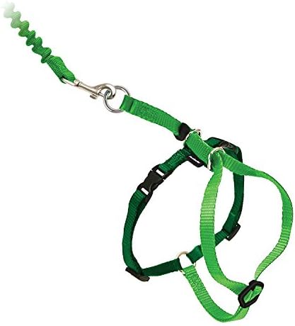 PetSafe Come with Me Kitty Harness and Bungee Leash by PetSafe