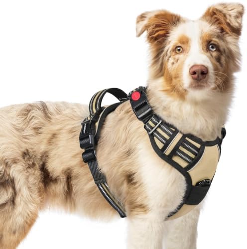 rabbitgoo Dog Harness Medium Sized, Updated Easy On & Off by rabbitgoo