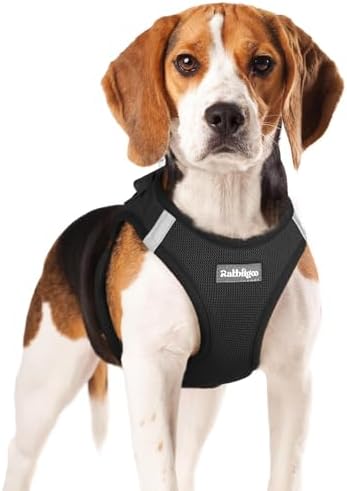 rabbitgoo Step-in Small Dog Harness, Puppy Vest by rabbitgoo